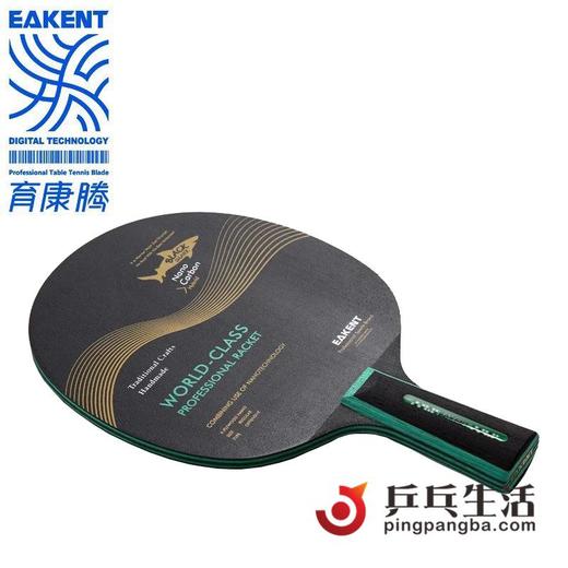 EAKENT育康腾  黑鲨专业九层纯木隐形纳米碳素底板 商品图1