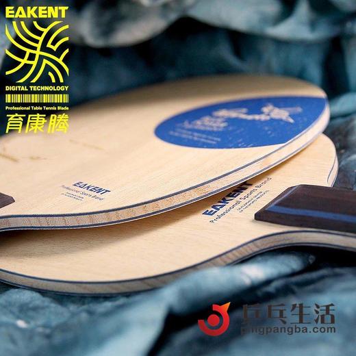 EAKENT育康腾 黄蜂5层纯木乒乓底板 商品图2