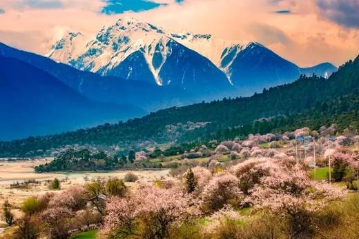 3.26出发【西藏】探寻桃花沟  索松村•波密桃花沟•拉萨摄影7-10天 商品图4