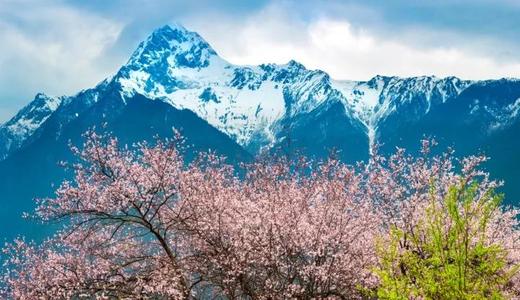 3.26出发【西藏】探寻桃花沟  索松村•波密桃花沟•拉萨摄影7-10天 商品图2