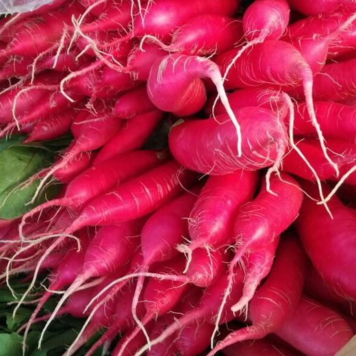 彩虹雨有机蔬菜新鲜青菜蔬菜水萝卜250g全国发货满额包邮