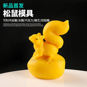 松鼠模具  盘饰模具可以制作盐雕、巧克力、琼脂等