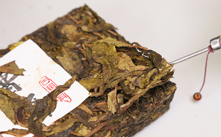 昔归古树黄金叶300克苍劲老叶味若甘泉