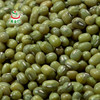 素食猫  东北特产绿豆 2.5KG 商品缩略图3
