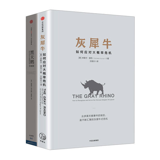 灰犀牛+黑天鹅 套装2册 商品图1