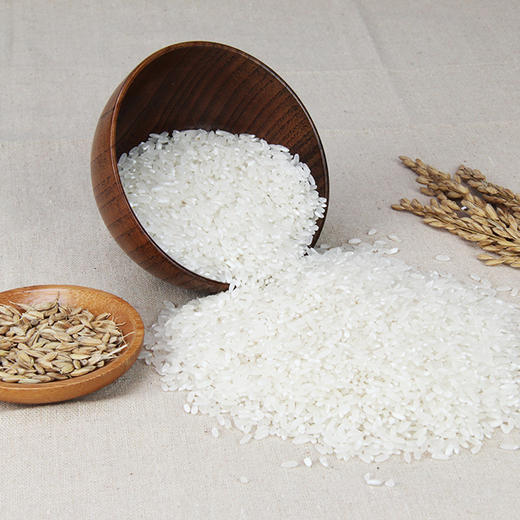 一米一家稻花香大米4.5kg 商品图2