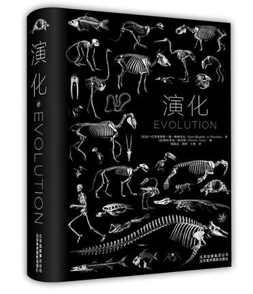 《演化》195张 高清骨骼照片 再现 脊椎动物演化 商品图0