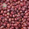 素食猫 东北特产红小豆2.5KG 商品缩略图3