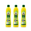 菲洛施 | 不锈钢清洁剂（柠檬）500ML*3瓶装 商品缩略图1