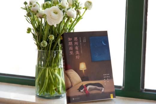 《愿所有美好如期而至》：我会笑着等待和你相遇的那天 商品图1