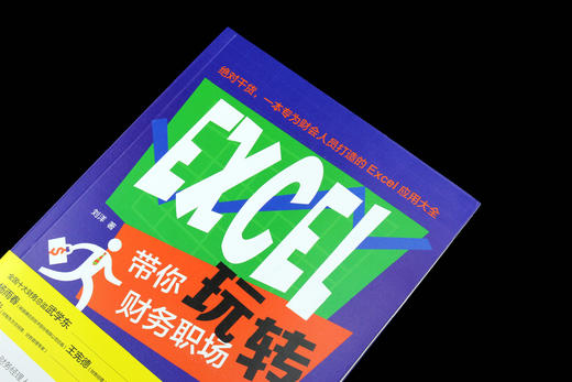 《EXCEL带你玩转财务职场》| 源自作者10年财务职场历练，Excel职场应用大全 商品图2