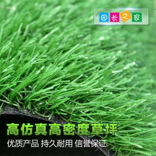 免灌砂高密度草坪人工人造草坪仿真塑料草坪幼儿园户外跑道多色 商品图0