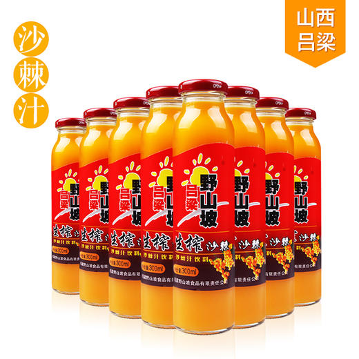 吕梁野山坡沙棘汁300ml*8瓶装 商品图0