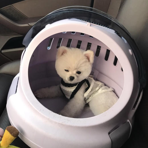 新初一暑假衔接课程 商品图0