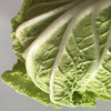 大白菜 (1100~3000g) 商品缩略图2