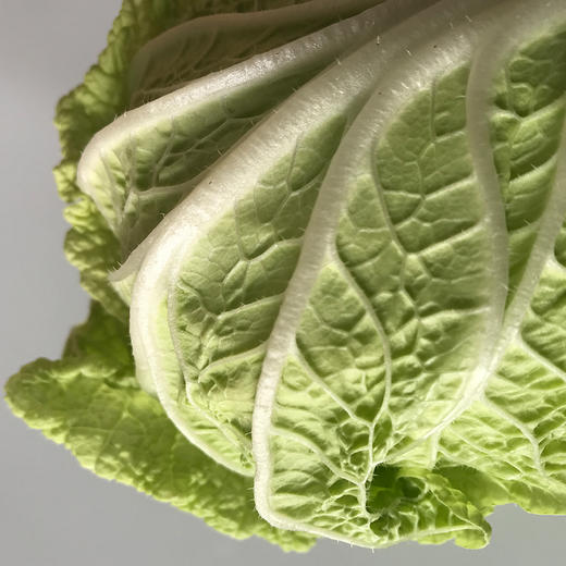 大白菜 (1100~3000g) 商品图2