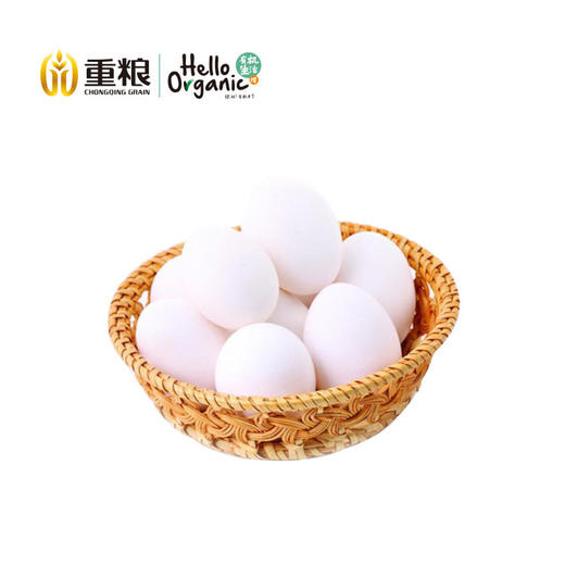 旧院黑鸡蛋白壳