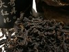 母本奇丹·大红袍 商品缩略图1