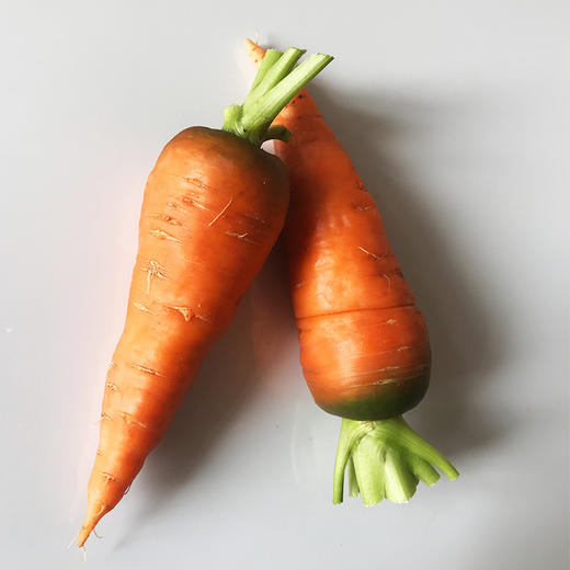 胡萝卜 商品图0