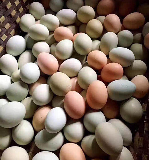 〔牧场直发包邮01〕真食牧场纯粮土鸡蛋 / 鸭蛋 商品图0