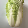大白菜 (1100~3000g) 商品缩略图1