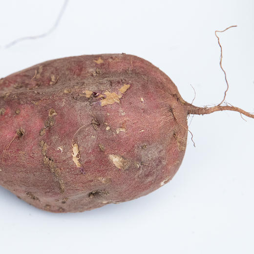 红薯 商品图2