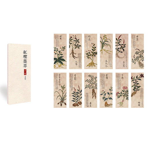 2018年《红楼梦日历》（中医版） 商品图3