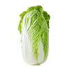 大白菜 (1100~3000g) 商品缩略图0