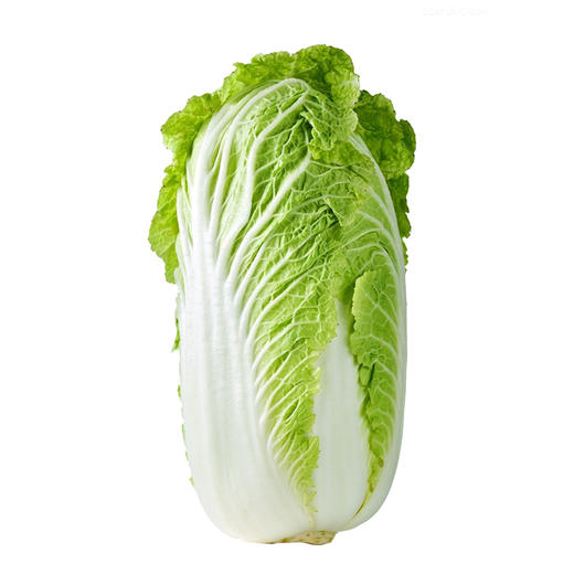 大白菜 (1100~3000g) 商品图0