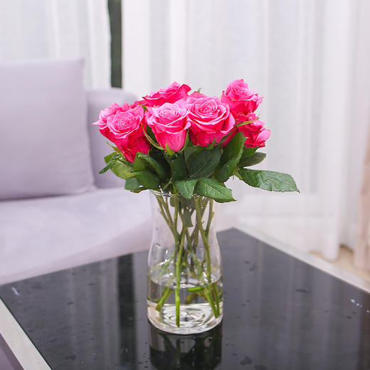 【7天】玫瑰花,7天瓶插期保证,送保鲜剂 | 内测产品