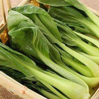 预售上海青苗5元斤每天12点前订购次日早上到