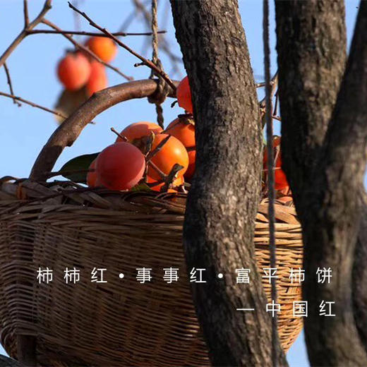 【富平曹村】2023陕西特产富平柿饼自然霜降吊柿特级2斤、3斤、5斤礼盒包邮 商品图6