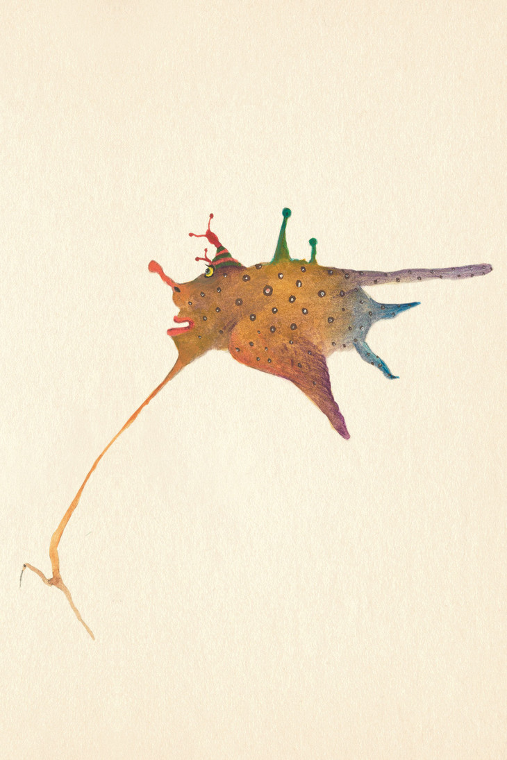 每一只便形鸟都有它奇妙的故事,所以我们选取其中10