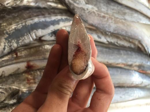 东山岛本港黑眼带鱼大带鱼福建省内满200包邮省外补拍运费差价咨询