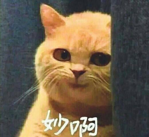 MEIYA12341234批改 商品图0