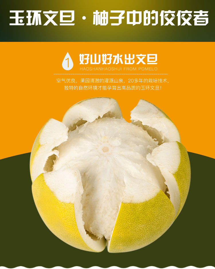 包邮台州玉环文旦15斤4只装