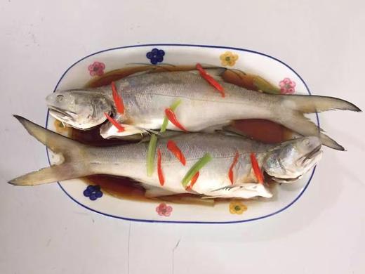 野生午鱼福建省内满200包邮省外补拍运费差价咨询客服