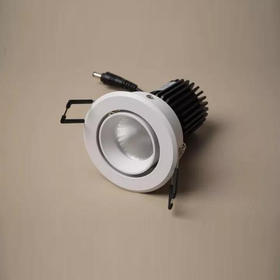 【清仓折扣】可调节暗装筒灯（单头/双头款）