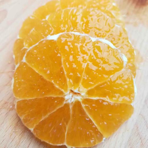 【新季】金装象山红美人 商品图5