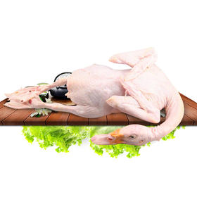 蚂蚁兄弟山涧老鸭 2年 食林间百草 饮山中清泉 净重1斤8两以上（仅售江浙沪皖）