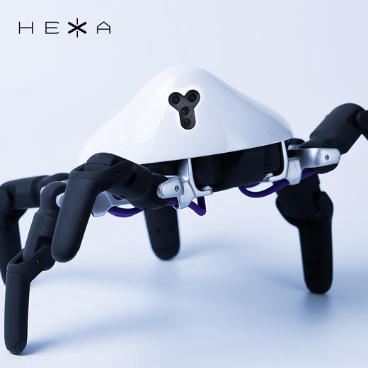 HEXA 六爪全地形可编程机器人 商品图4