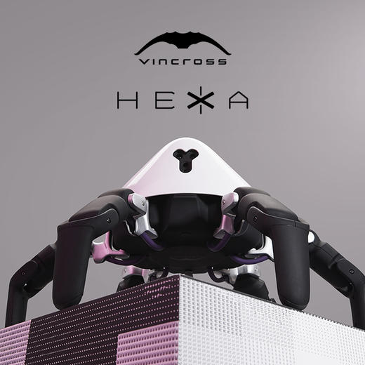 HEXA 六爪全地形可编程机器人 商品图1