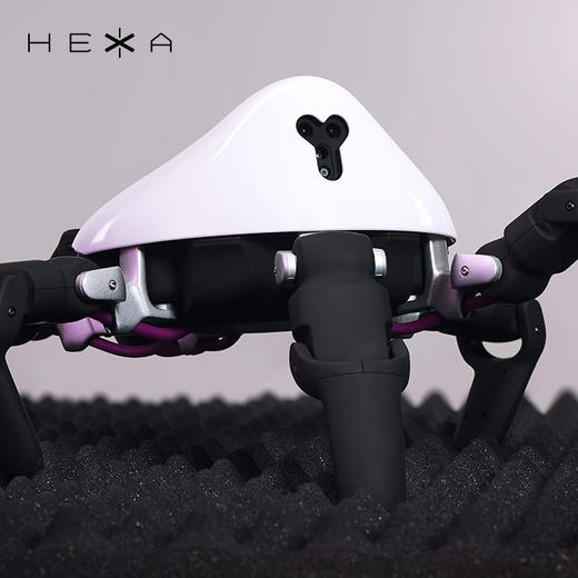 HEXA 六爪全地形可编程机器人 商品图7