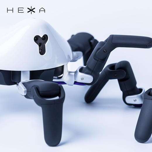 HEXA 六爪全地形可编程机器人 商品图5
