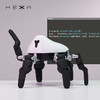 HEXA 六爪全地形可编程机器人 商品缩略图9