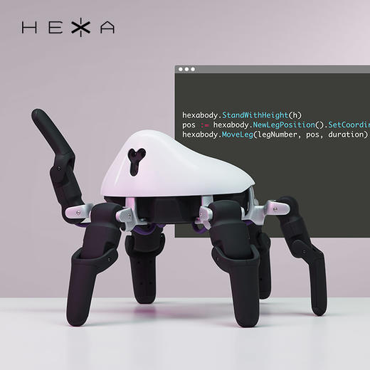 HEXA 六爪全地形可编程机器人 商品图9