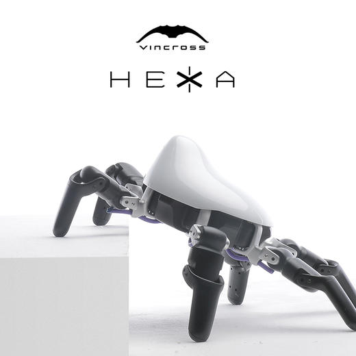 HEXA 六爪全地形可编程机器人 商品图12