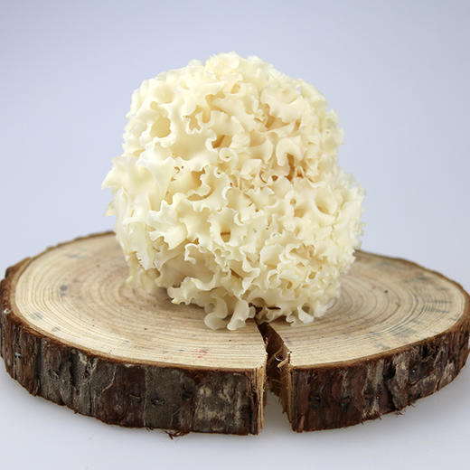 及养堂鲜绣球菌500g