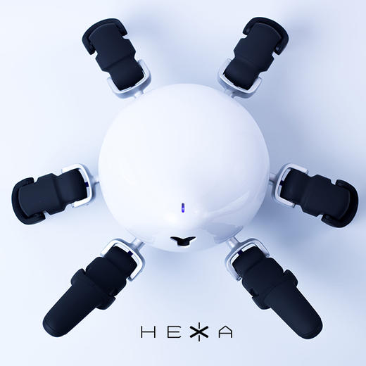 HEXA 六爪全地形可编程机器人 商品图3