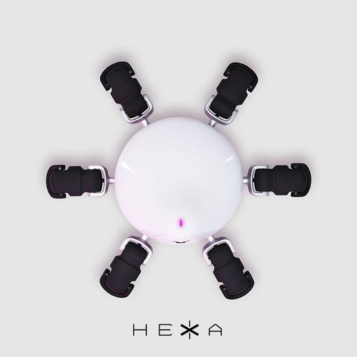 HEXA 六爪全地形可编程机器人 商品图10